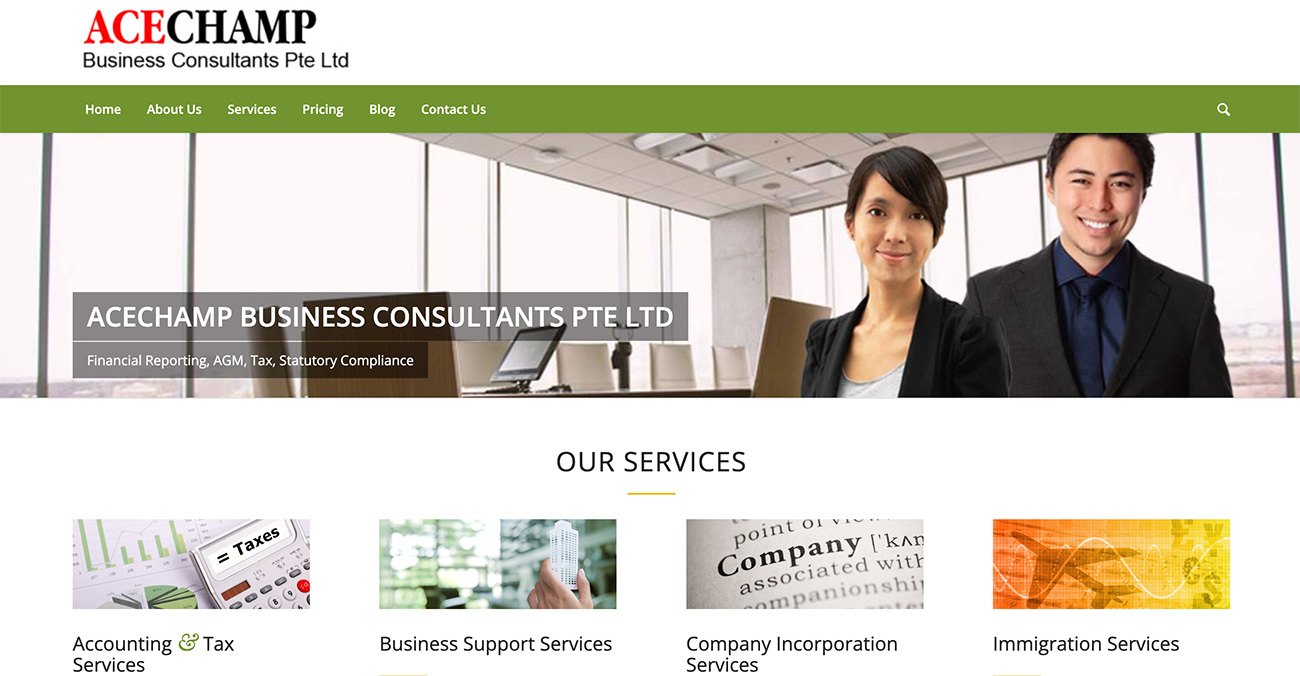 Healy Consultants Group